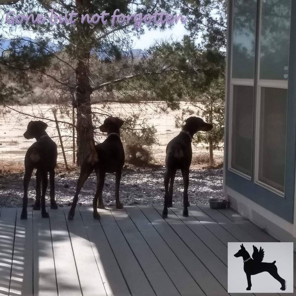 Meet your Posher, Kiri